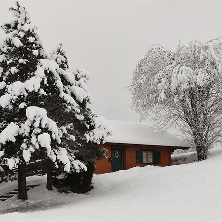 Haus Otis Villa Bad Mitterndorf Exterior photo