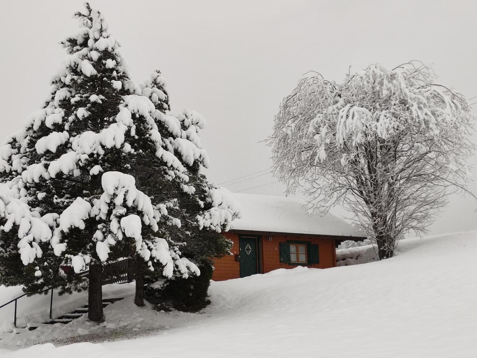 Haus Otis Villa Bad Mitterndorf Exterior photo